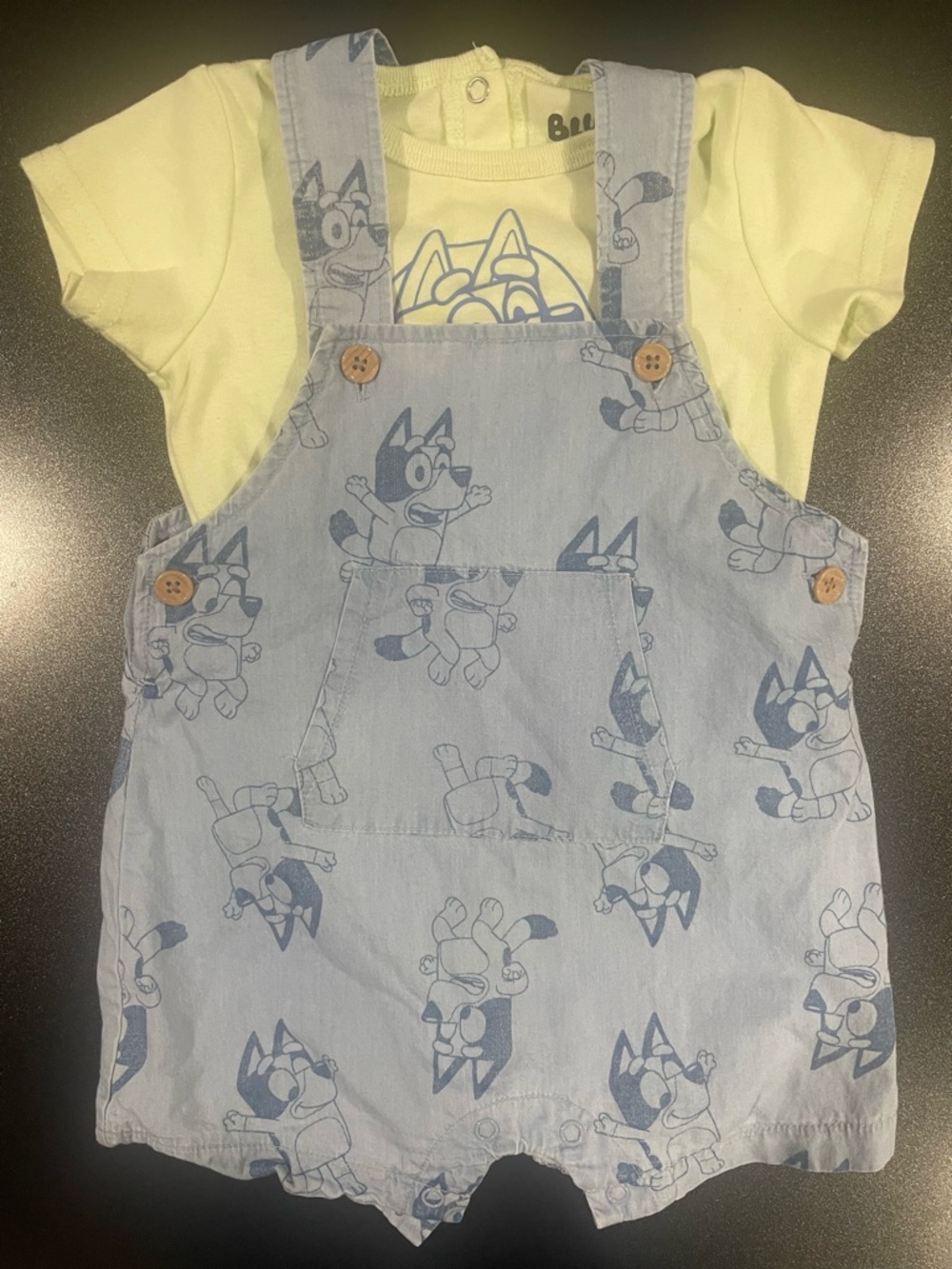 Bluey Print Overalls w/ Light Green Tee Shirt 12 mo. 🐾 🦴